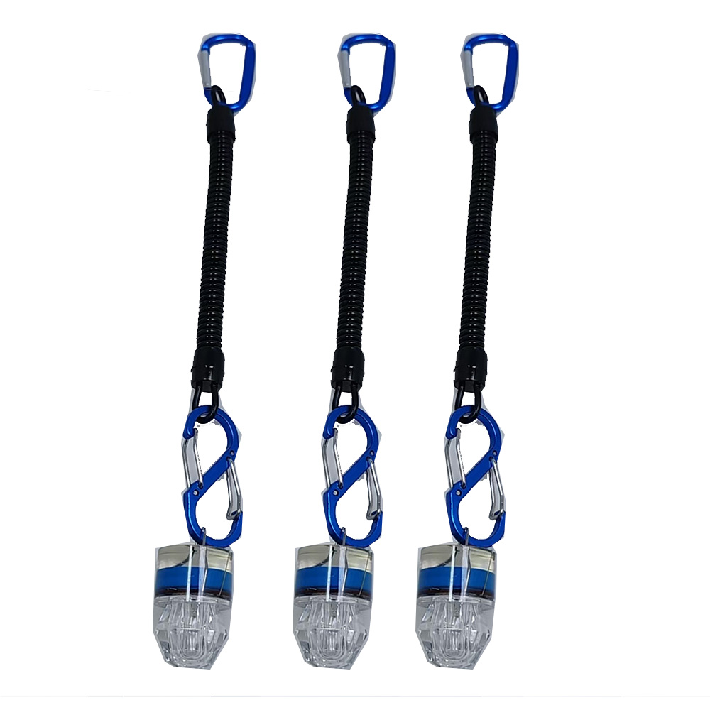 2-3 Luci LED per Pesca con Cor - Fish Alarm recensione e prezzo
