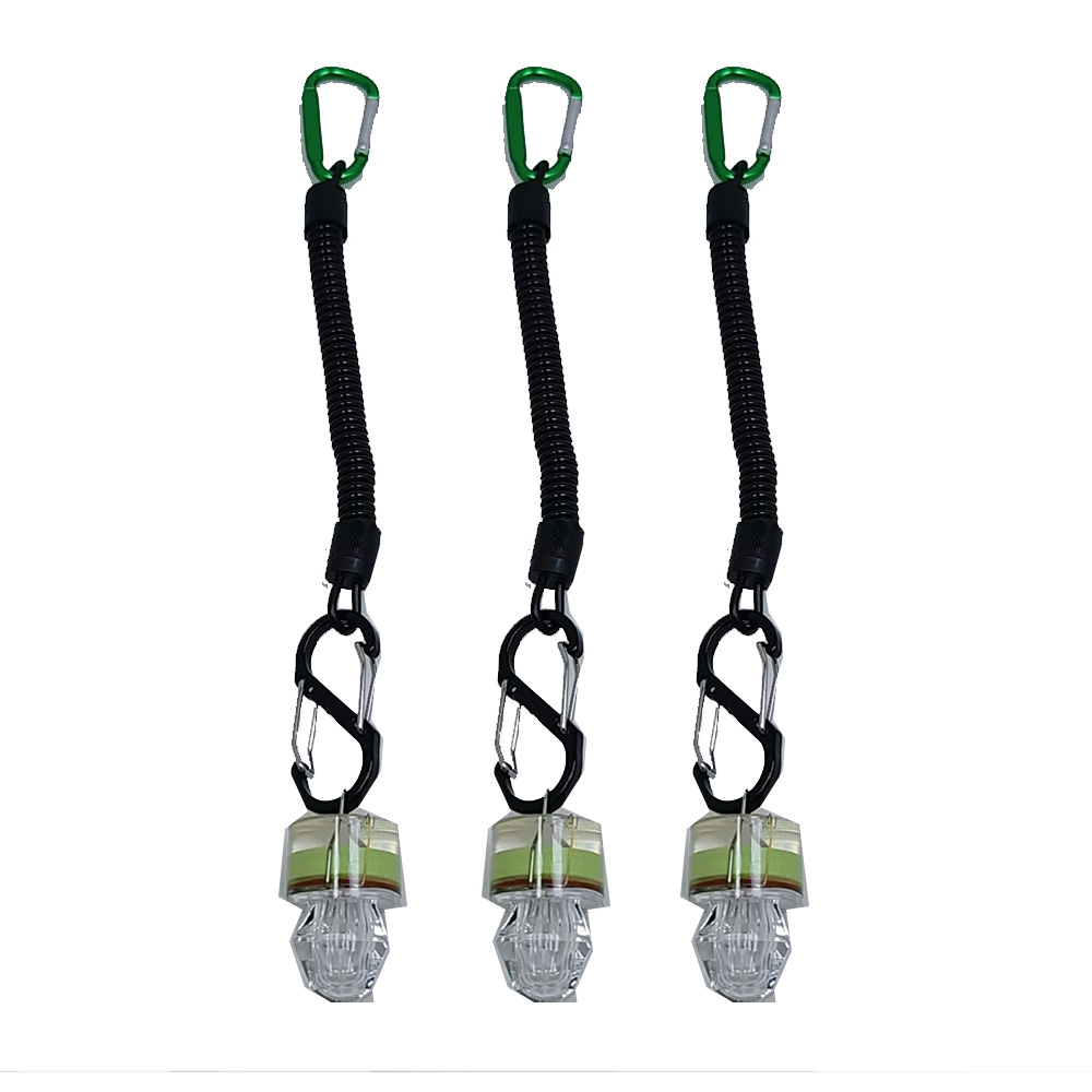 2-3 Luci LED per Pesca con Cor - Fish Alarm recensione e prezzo